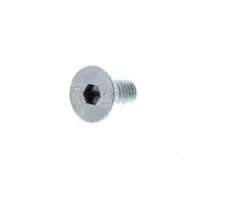 Derbi Screw 6m100x12 D-7991 00000013612
