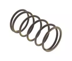 SYM Driven Face Spring 23233-L6C-000