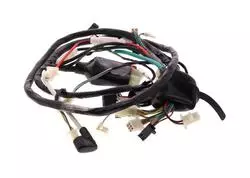 SYM Wire Harness 32100-ACA-010