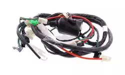 SYM Wire Harness 32100-AKA-010