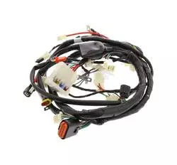 SYM Wire harness 32100-AW4-000