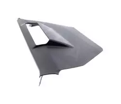 Derbi Lateral Protection 86200300WN25