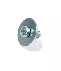SYM Washer Screw 4x10 90102-N02-600