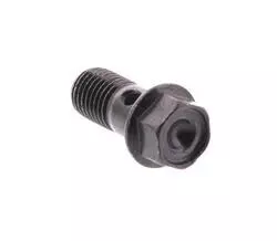 SYM Oil Bolt 10x22 90145-MS9-611