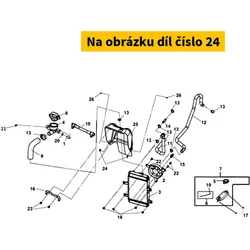 SYM Flange Special Nut 10mm 90308-X04-000