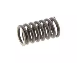 SYM Clutch Spring 95014-BBA-000