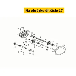 SYM Radial Ball Bearing 6205/2as 96100-62050-10