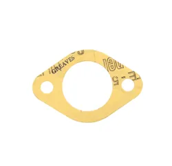 Piaggio Inlaatspruitstukpakking E500450092