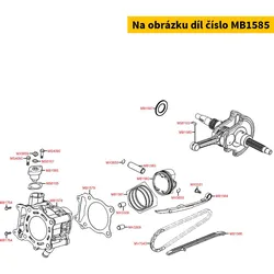 Kymco Steuerkettenspanner MB1585
