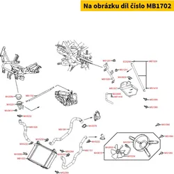 Kymco Kühlwasserschlauch z. Kühlerdeckel MB1702