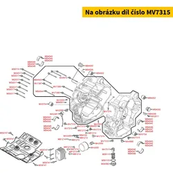 Kymco Verschlussschraube 16mm MV7315