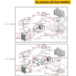 Kymco Schraube G06x025 SK10/Z = MA5103 MX4603