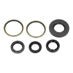 Centauro Gufera motoru sada Cygnus 125 97-03