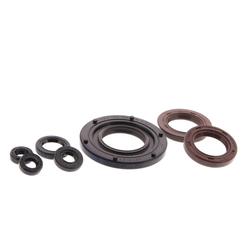 Centauro Gufera motoru sada Foresight 98-99 / X9