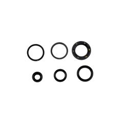 Centauro Gufera motoru sada Forza 250i 05-07