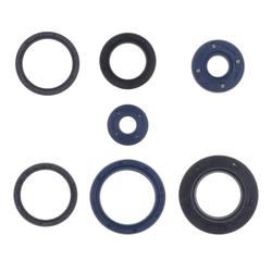 Centauro Gufera motoru sada Peugeot 125