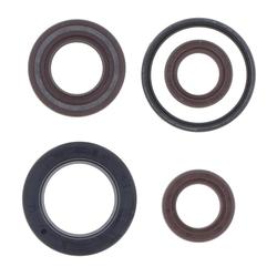 Centauro Gufera motoru sada Piaggio