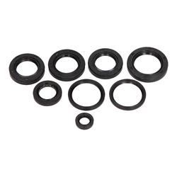 Centauro Gufera motoru sada SYM 125 LC