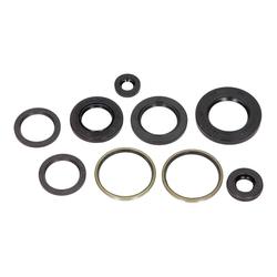 Centauro Gufera motoru sada Yamaha 250