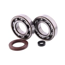 Centauro Ložiska + gufera klikové hřídele Burgman