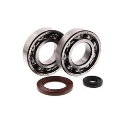 Centauro Ložiska + gufera klikové hřídele Burgman 250 / 400