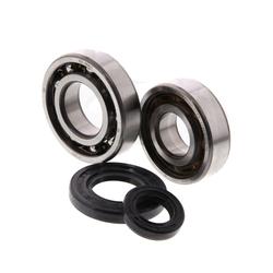 Centauro Ložiska + gufera klikové hřídele Morini