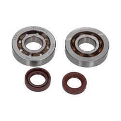 Centauro Ložiska + gufera klikové hřídele Piaggio (polyamidová klec)