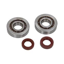 Centauro Ložiska + gufera klikové hřídele Piaggio 50 2T