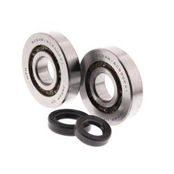 Centauro Ložiska + gufera klikové hřídele SFX / SGX