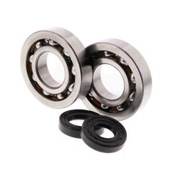 Centauro Ložiska + gufera klikové hřídele SH / X8R