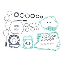 Centauro Sada těsnění motoru Forza 250 05-07