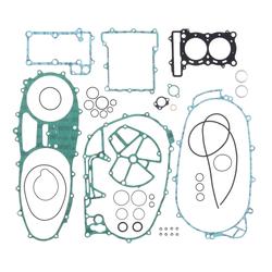 Centauro Sada těsnění motoru T-Max 500 01-11