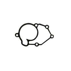 Centauro Těsnění vodní pumpy Xcity / X-Max