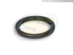 Malossi Gufero variátoru Multivar 35x44x4