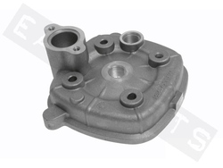 Malossi Hlava válce Malossi 70ccm