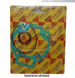 Malossi Sada těsnění Malossi 75ccm