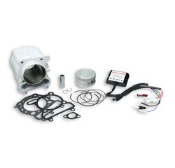 Malossi Válec 290ccm Malossi