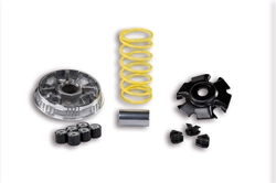 Malossi Variátor Multivar Rotax 200ccm