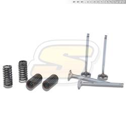 Malossi Ventily + pružiny Piaggio 250