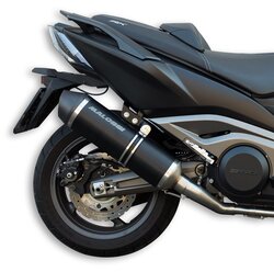 Malossi Výfuk Malossi Wild Lion AK 550 - homologovaný