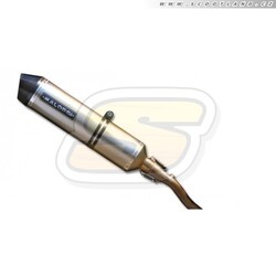 Malossi Výfuk Malossi Wild Lion GP800