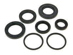 Naraku Gufera motoru Ditech - sada