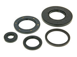 Naraku Gufera motoru SH 300 - sada