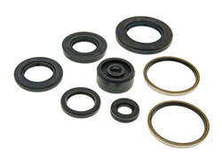 Naraku Gufera motoru X-Max - sada