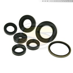 R-P Gufera motoru sada Piaggio