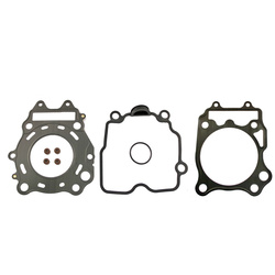 RMS Sada těsnění Burgman 250 od 03