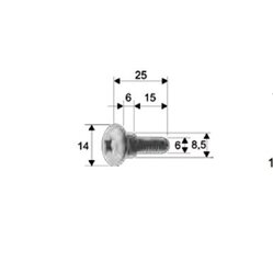 RMS Šroub Piaggio M6 dlouhý