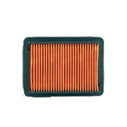 RMS Vzduchový filtr T-max od 2008