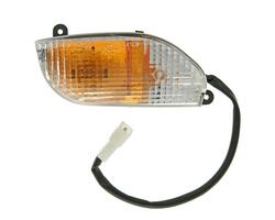 Vicma Blinkr PP Scarabeo