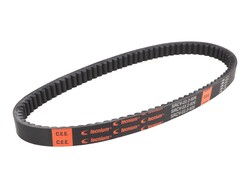 Vicma Řemen variátoru Pantheon 2T